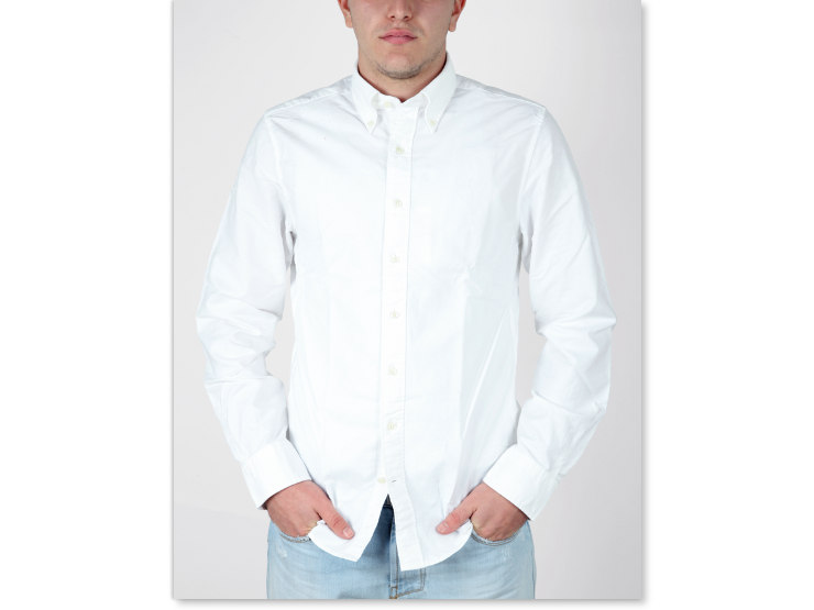 Camicia regular fit, button-down Webb & Scott in tessuto no-stiro di puro cotone tinta unita